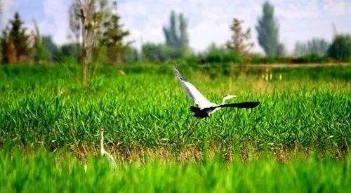 闰四月兆年慌是什么意思?闰四月非常的不好?(图文)