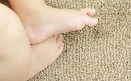 属相是鼠的人（五一节出生命运·农历月份命理）(图文)