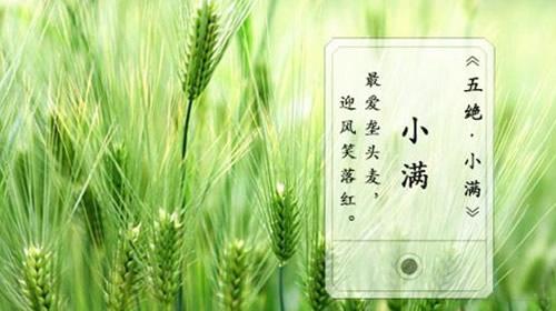 2020年小满节气时辰（亥时）出生鼠宝宝命好不好？(图文)
