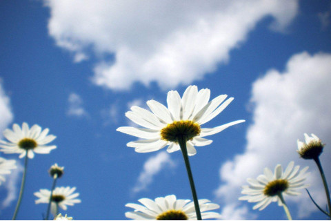 什么样的八字女人会出轨