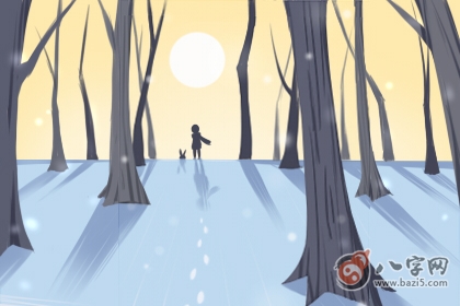 什么是老板命的八字,大师给你专业解析(图文)