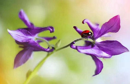 2020年5月12日·四月二十护士节今天适合破土迁坟吗？(图文)