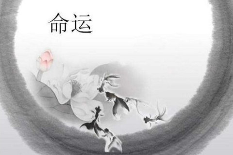 免费算八字看一生运程
