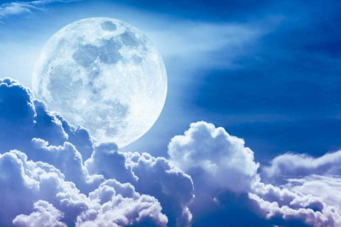 二月初五出生的人怎么样