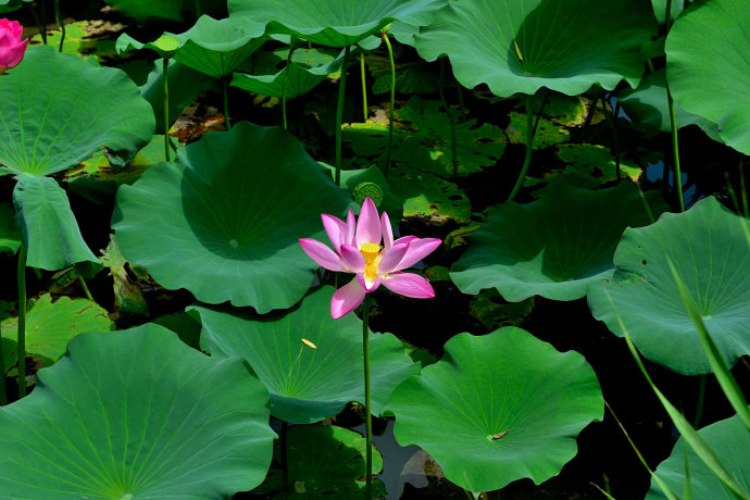 闰四月有哪些说法？2020年双春年遇闰四月有哪些禁忌和讲究？(图文)