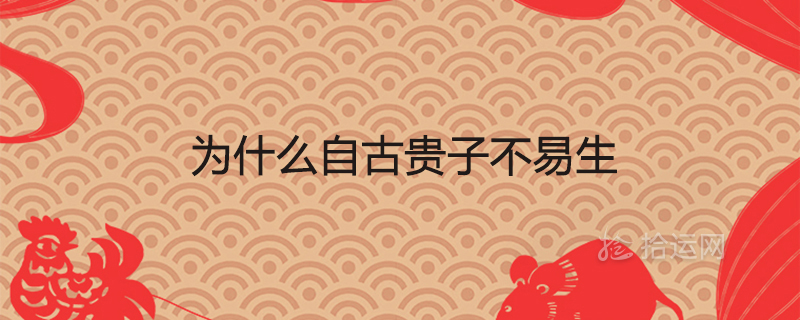 为什么自古贵子不易生生麒麟贵子的八字