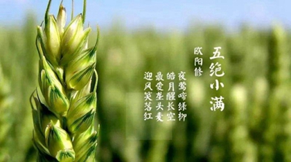 2020年阴历四月廿七-小满前一天开业好吗,小满三候解析！(图文)