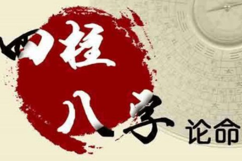 头脑聪明的八字特征有哪些