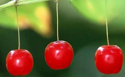 2020年四月十四-立夏后一天出行好吗,2020立夏变热了吗(图文)