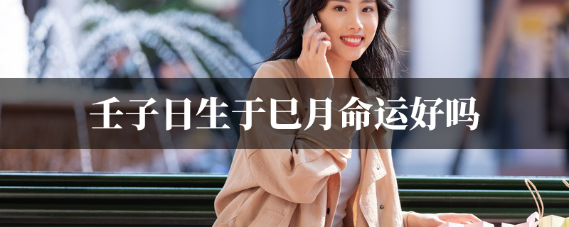 壬子日生于巳月命运好吗