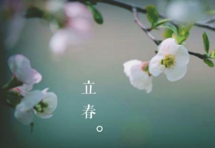 属相是狗的人出生于[立春]好吗 五行命运分析！(图文)