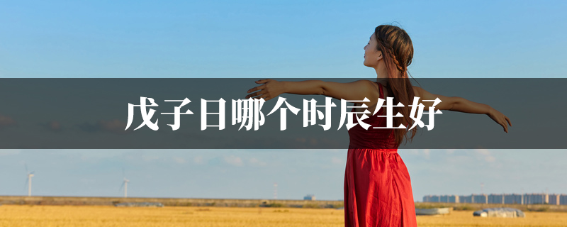戊子日哪个时辰生好