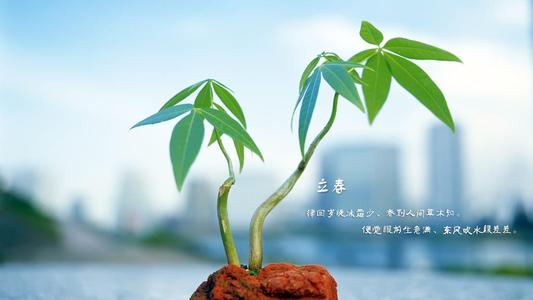 第一节气·立春有哪些习俗风俗 春神是指什么？(图文)