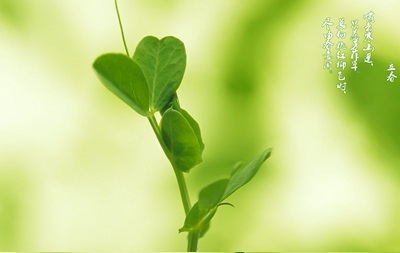 2020年立春日子好不好?立春日子是固定的吗?(图文)