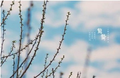 惊蛰是什么节气？2020庚子年惊蛰节气可以搬家吗？(图文)