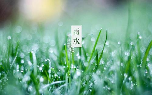 雨水节气是哪天 按公历还是农历计算？(图文)