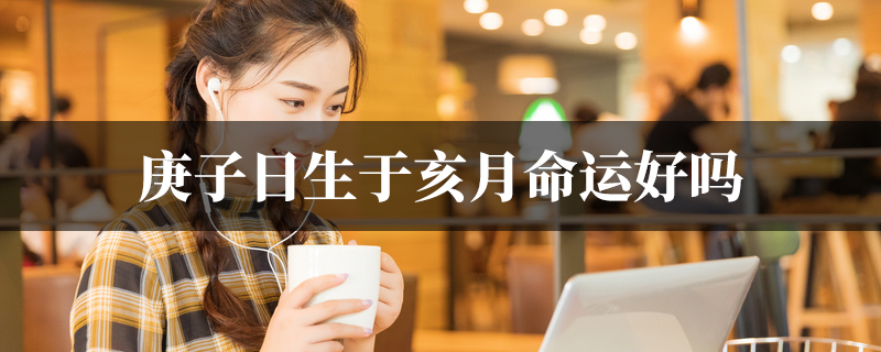 庚子日生于亥月命运好吗