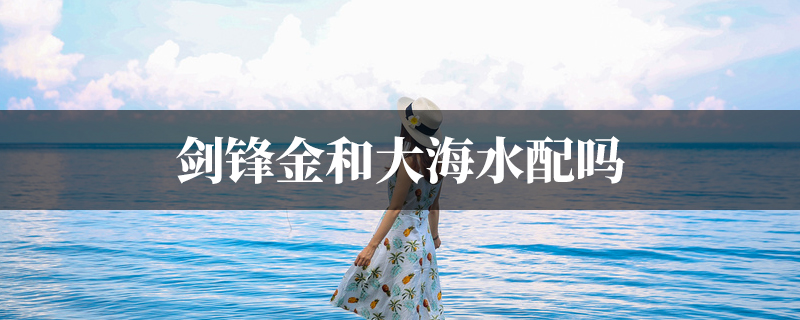 剑锋金和大海水配吗