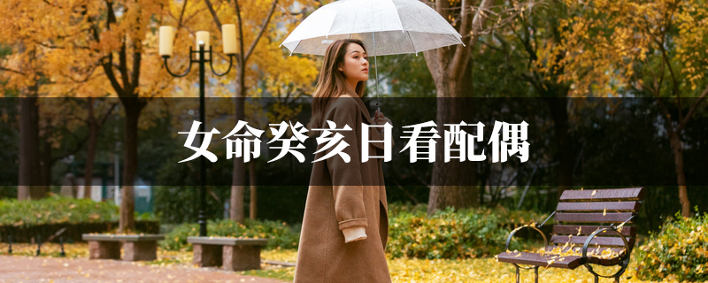 女命癸亥日看配偶