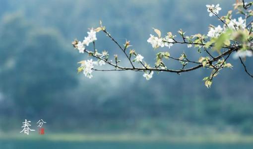 2020年仲春之月—春分当天属龙的人结婚吉利吗？(图文)