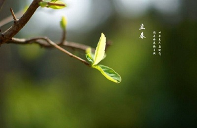 2020年立春是哪天?立春节气搬家好不好?(图文)
