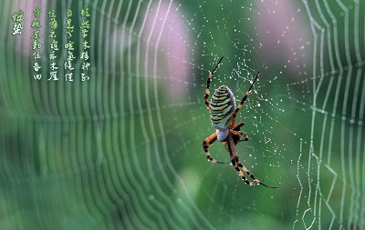 2020年惊蛰是什么生肖？惊蛰出生的鼠宝宝命运好不好？(图文)