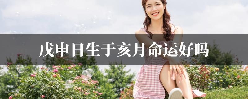 戊申日生于亥月命运好吗