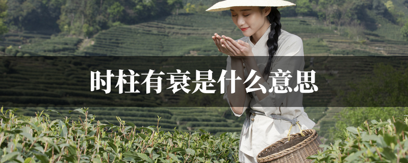 时柱有衰是什麽意思