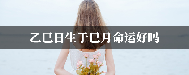 乙巳日生于巳月命运好吗