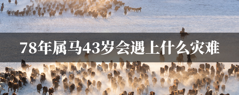 78年属马43岁会遇上什麽灾难