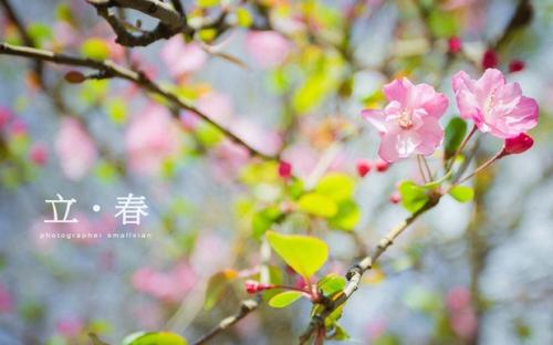 节气立春之日要做什么 要“迎春踏春”吗?(图文)