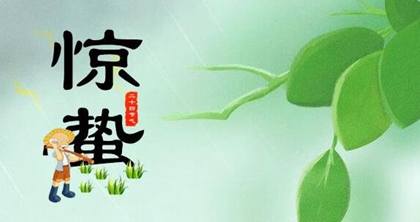 2020年二月十二惊蛰出生属鼠男宝宝五行缺什么,命运好吗？(图文)