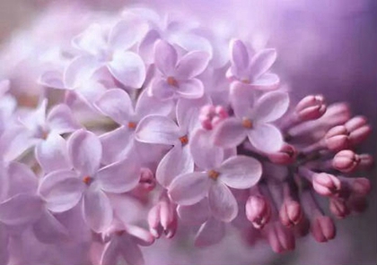 2020年二月十五妇女节出生女孩是八字喜土命局吗？(图文)