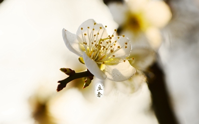 2020鼠年立春日子好吗？立春的含义是什么意思？(图文)