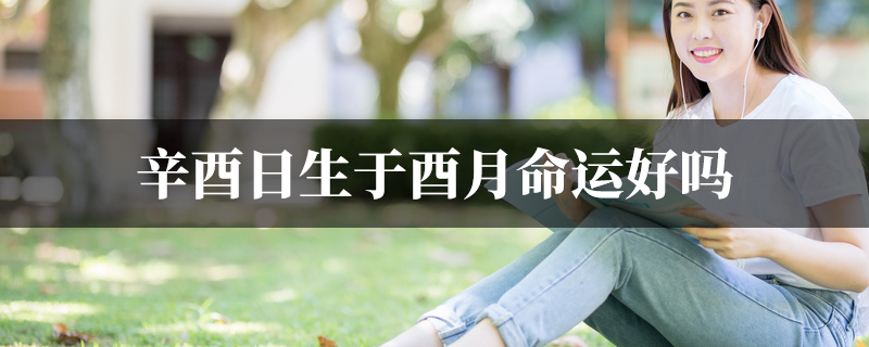 辛酉日生于酉月命运好吗