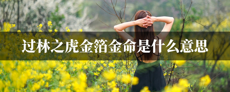 过林之虎金箔金命是什麽意思