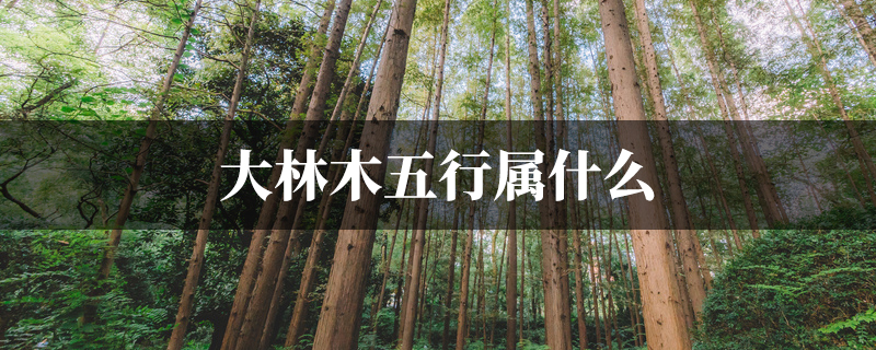 大林木五行属什麽