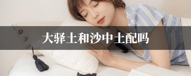大驿土和沙中土配吗