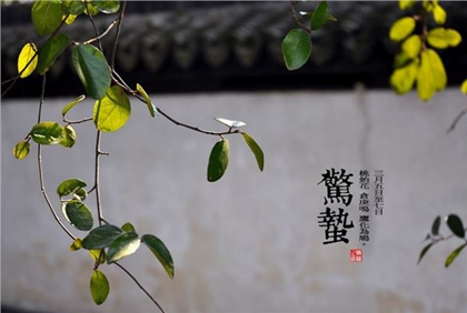 2020年惊蛰后一天二月十三适合安床吗,2020惊蛰几月几号？(图文)