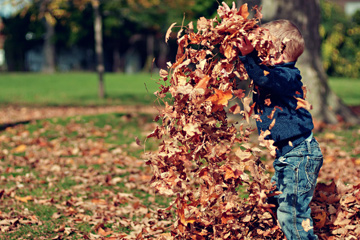 属牛田姓最好的男孩名字