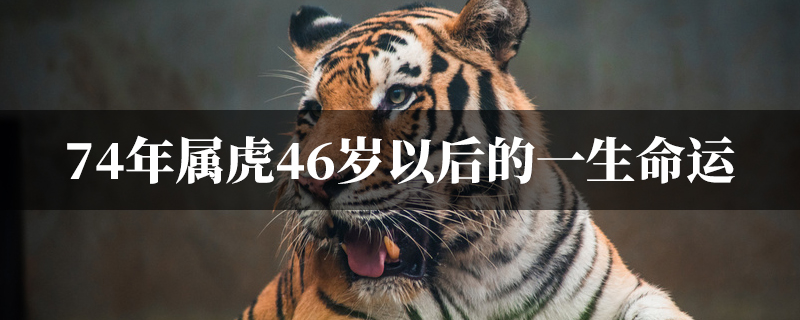 74年属虎46岁以后的一生命运