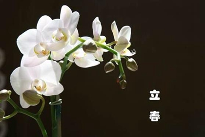 2020年立春不能发脾气吗,立春有何注意事项和禁忌？(图文)