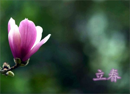 2020年2月4日立春注意什么,立春节气是什么意思?(图文)