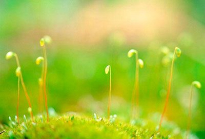 2020年二月十一惊蛰前一天适合理发吗,3月4日冲什么生肖？(图文)