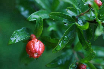 2020年农历二月十七日子适合破土修坟吗,今天卦象怎么样？(图文)