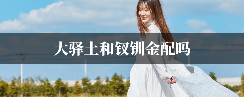 大驿土和钗钏金配吗