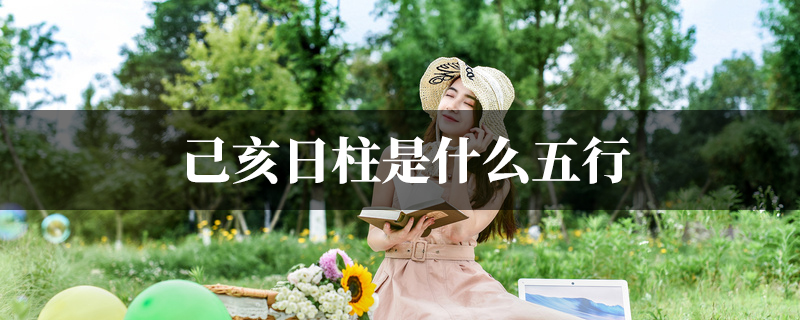 己亥日柱是什麽五行