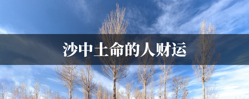 沙中土命的人财运