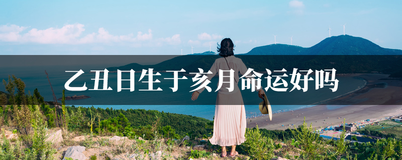 乙丑日生于亥月命运好吗