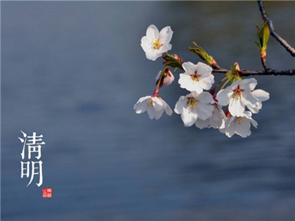  2020年清明节前一天三月十一搬家好吗,清明节几点几分几秒？(图文)